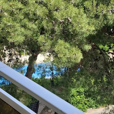 Grand Plongeon De La Piscine De Notre דירה